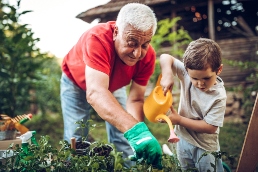 grandpa and boy planting in the garden