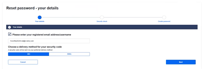 reset password screenshot